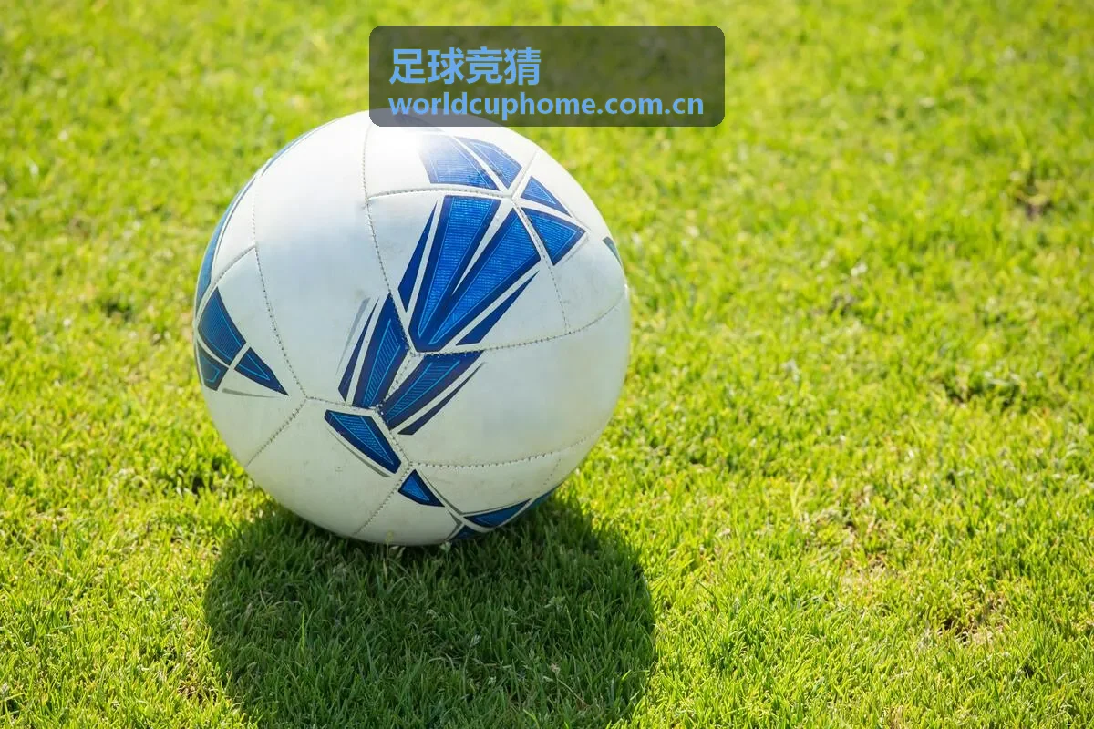 足球竞猜焦点赛事专题观察